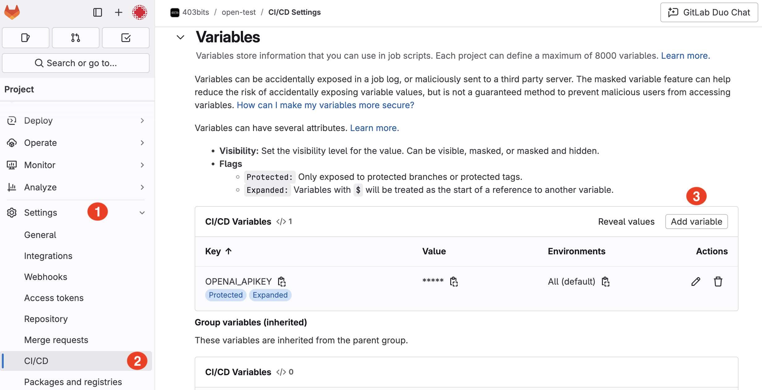 CI/CD Variables