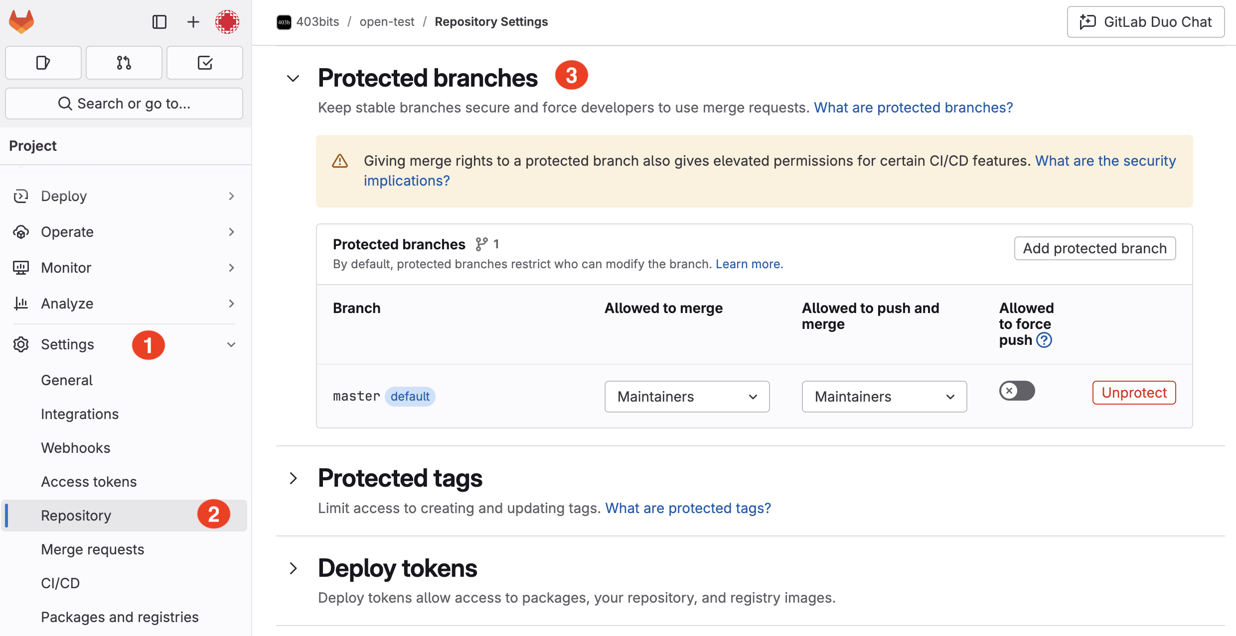 Protected Branches